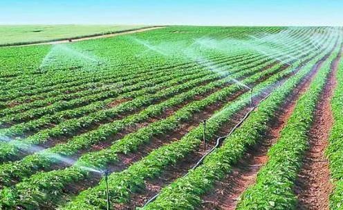我要看亚洲大逼农田高 效节水灌溉